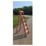 6Ft Fiberglass Werner Ladder