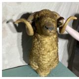 Mounted Ram Head Missing Tip of Ear