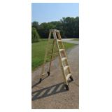 6Ft Fiberglass Ladder