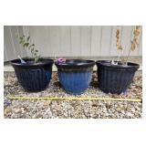 Three Plastic Blue Outdoor Pots