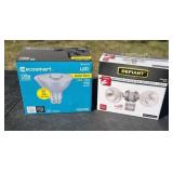 Motion activated security light with light bulbs