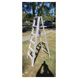 6 ft aluminum step ladder