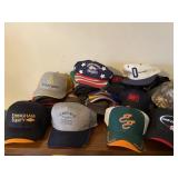 Various Advertising Hats