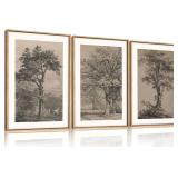 KAIRNE Vintage Tree Sketch Wall Art Set, Antique Tree Drawings Wall Decor, Nature Sketch Wall Painting, Framed Botanical Canvas Art Prints for Living Room, Bedroom, Dinning Room, Farmhouse - 16'x24'x3