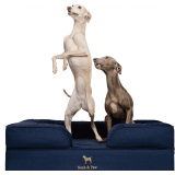 NOAH & PAW Large Dog Bed, 35x25x11 Inch, Orthopedic Dog Beds, Eggshell Memory Foam Infused with Cooling Gel, Inner Cover, Waterproof, Machine Washable (Denim Sofa Collection) - $64