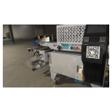 Richpeace Automatic Flat Mask Packaging Machine, Model RPAP-FM-F-2-100X250-HM-BSP-CRF-P-1P220