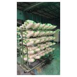 Industrial Cotton Yarn Spools