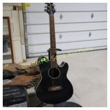 USED GUITAR AND CARRYING CASE. GUTIAR NEEDS