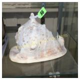 8" TALL SEA SHELL.