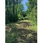 2.84+/- Acre Wooded Lot in Monclova at Online Auction