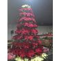 SOMD Farm & Country Christmas Auction, 12/6/2025