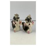 Skunk w/ flowers ceramic salt & pepper shakers