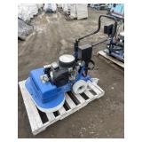 Windsor Lightning Floor Stripper