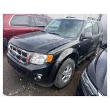 2008 Ford Escape XLT