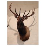 TAXIDERMY, SKULLS, GUNS, FISHING ITEMS,  RELATED ITEMS, 2018 DODGE RAM TRUCK