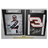 2 - DALE EARNHARDT METAL SIGNS