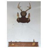 TAXIDERMY WALL DECOR