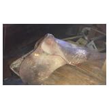 ENGLISH LEATHER SADDLE