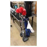 10 GOLF CLUBS IN GOLF BAG & CADDY W/ BALLS & TEES