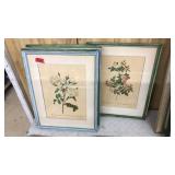 6 FRAMED BOTANICAL PRINTS BY PIERRE-JOSEPH