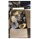 BOX OF ASST. SEA SHELLS & MISC SHELLS