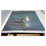 OIL PASTEL SEAGULL ON PAPER, WILLSON 1999