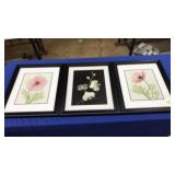 SET OF 3 FRAMED BOTANICAL PRINTS