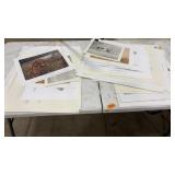 COLLECTION OF VARIOUS FRANKIE PARDOE PRINTS