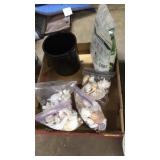 ASST SEASHELLS & ETC