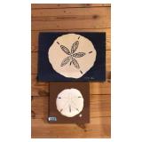 2 PC SAND DOLLAR WALL ART