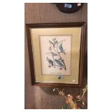 WARBLES & BLUEBIRDS FRAMED PRINT