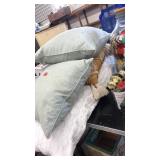 DECORATIVE THROW PILLOWS & BODY PILLOW