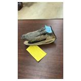 SMALL ALLIGATOR HEAD