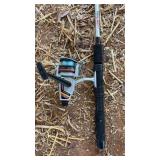 FISHING POLE AND REEL