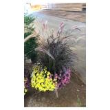 LRG PLANTER: MIXED COLOR MUMS AND ORNAMENTAL GRASS