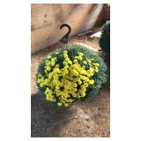 HANGING YELLOW MUM BASKET