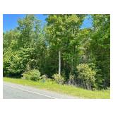 Summer Land Auctions - Ulster Heights Rd, Gilbertsville, Town of Fallsburg