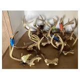 10 Antlers