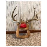 8 Point Mount