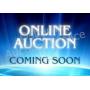 Online Estate Auction Sale in Midland, Michigan