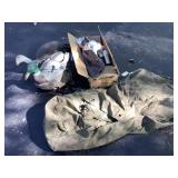 Variety of Decoys & Bags