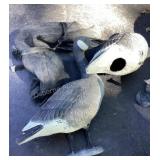 5 Canadian Geese Made in Italy Decoys, stakes &