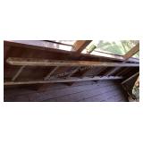 Orchard Ladder, 144" tall