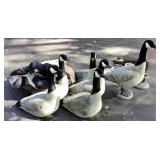 ReelFeet Canadian Goose Decoys, 6 bodies & bases