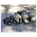 12 Duck Decoys & Storage Bag