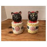 Japan Cat S&P