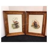 House & Carolina Wren Pictures by Don Whitlaton,
