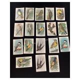 Vintage 18 Arm & Hammer Bird Cards