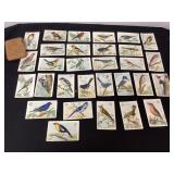 Vintage Arm & Hammer Bird Cards with case