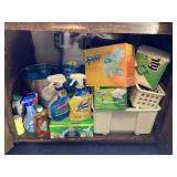 Under Sink Cupboard Cleanout